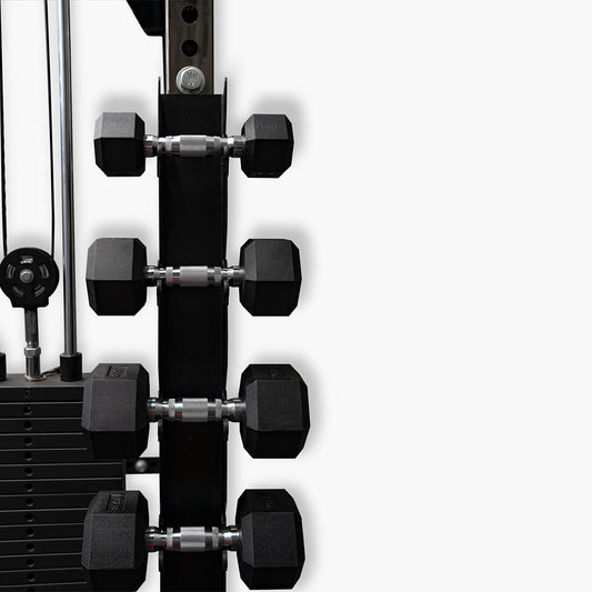 PRO SERIES Mounted Dumbbell Rack