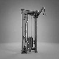 VForce Wall Mounted Lat Tower