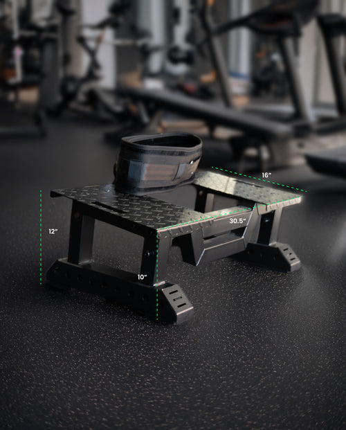 Belt Squat Multi Function Platform Rack