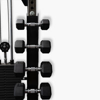 PRO SERIES Mounted Dumbbell Rack