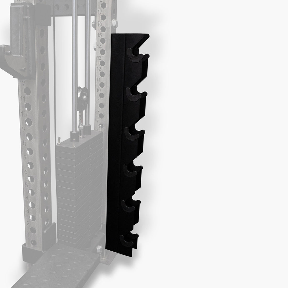 PRO SERIES Mounted Dumbbell Rack | Vesta Fitness