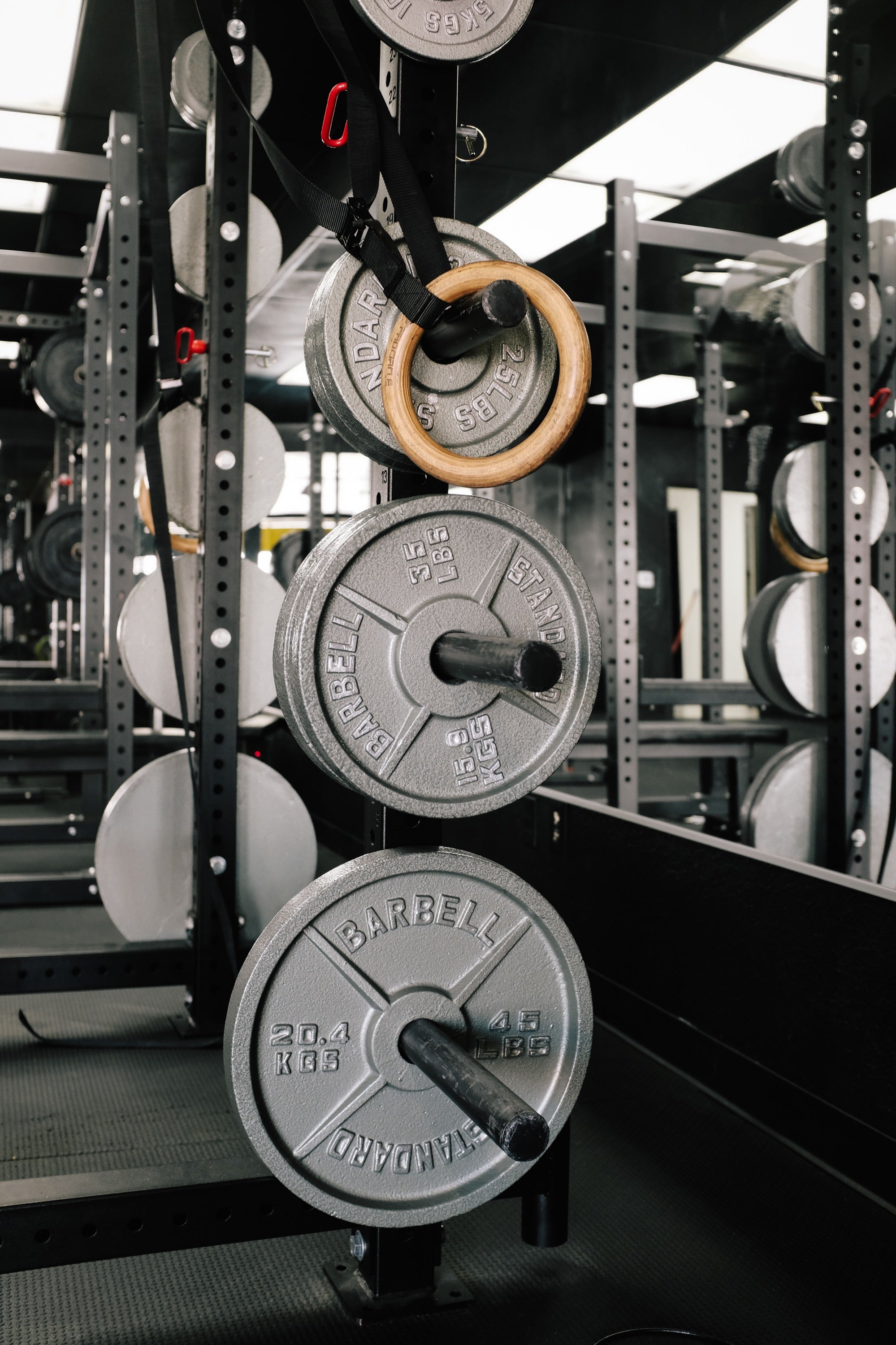 Olympic Cast Iron Weight Plates | Vesta Fitness