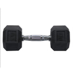 Hex Dumbbell 15 lbs